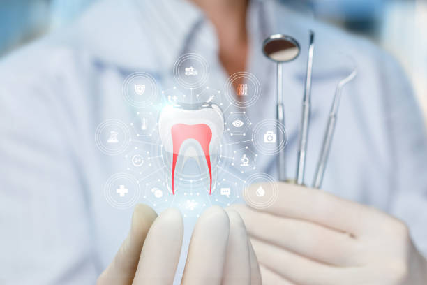  Lake Camelot, IL Holistic Dental Services Pros